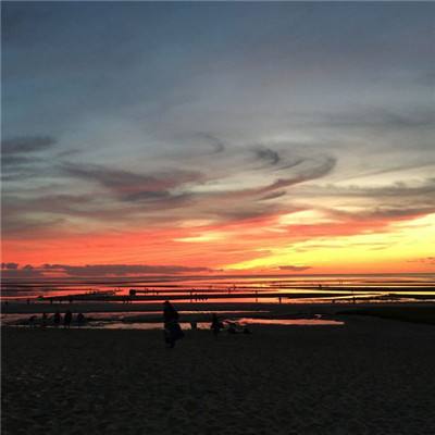 乐虎国际app下载